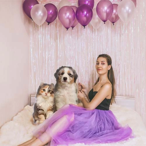 decorations Pet Decorations