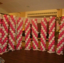 birthday Theme Decor