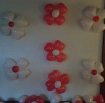 birthday Theme Decor