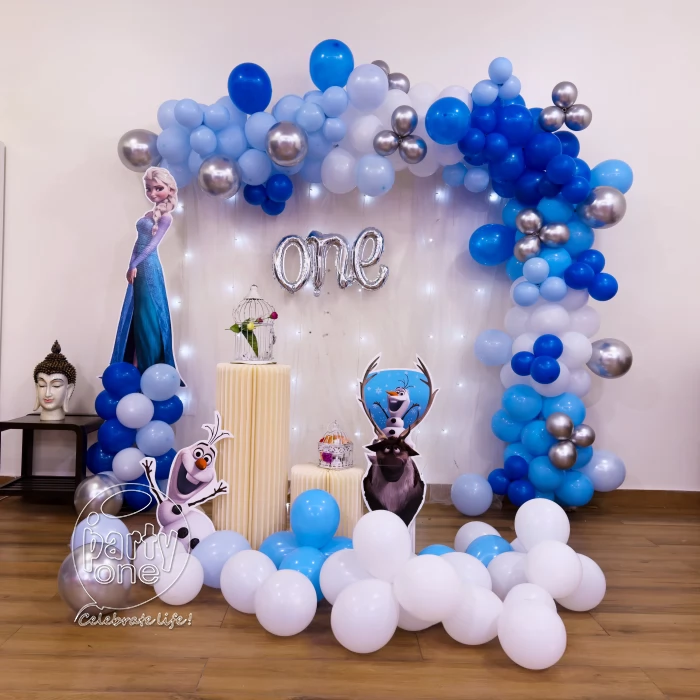 birthday Amazing Frozen Theme First Birthday Decoration