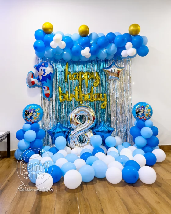 birthday Sonic Birthday Theme Decoration