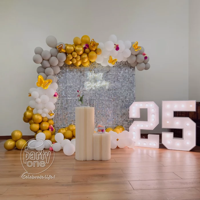 birthday Spark Silver Jubilee Birthday Bash Decor