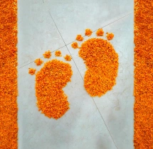 decorations Welcome Baby Girl Balloon and Petal Pathway