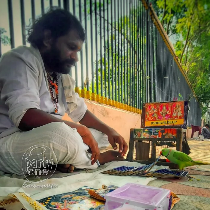 Parrot Astrology for Birthday Party