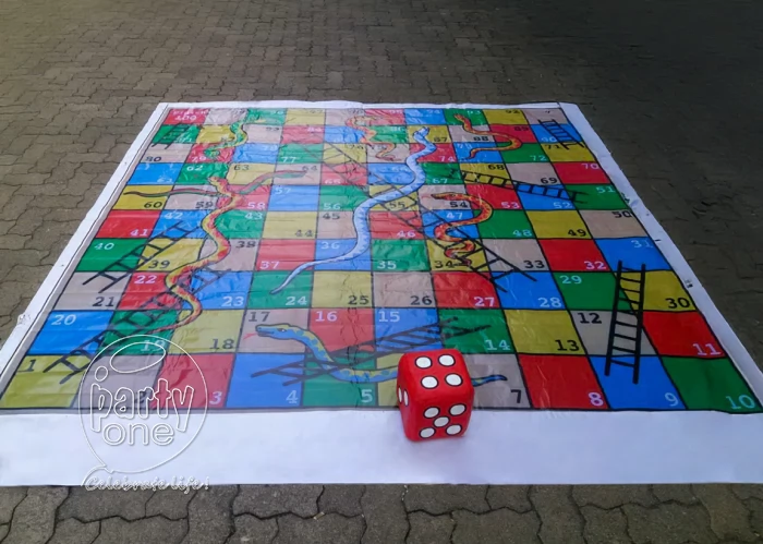 Giant Snake and Ladder Game for Party