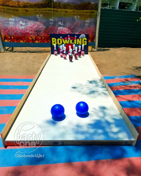 Kids Mini Bowling Alley