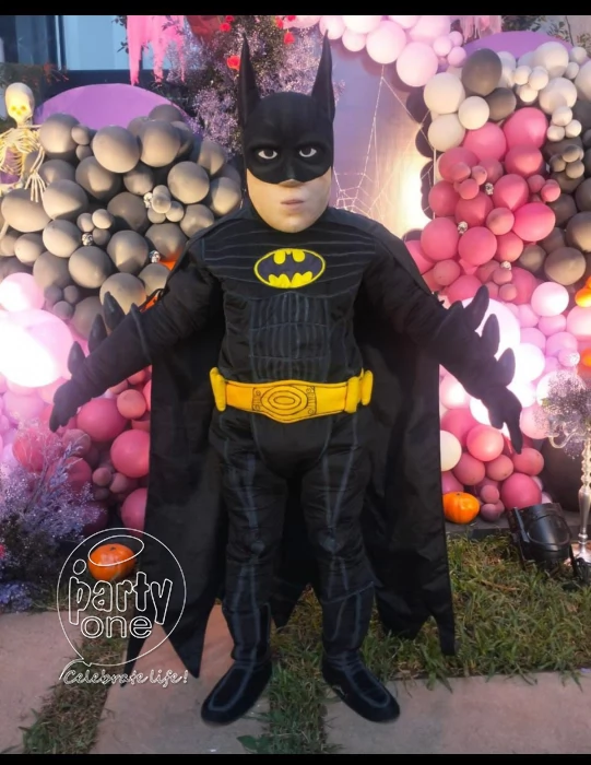 Batman Character Mascot