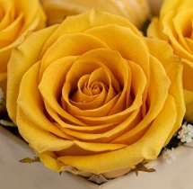 decorations Yellow Rose and Balloon Bouquet