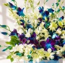 surprises Dreamy Blue Purple Orchid Flower Box
