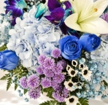 surprises Exotic Lily and Hydrangea Bloom Box