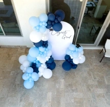 decorations Classy Graduation Day Balloon Backdrop Decoration