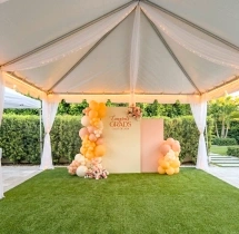decorations Peach and Cream Theme Graduation Backdrop