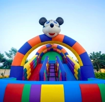 birthday Bouncing Castle