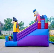 birthday Bouncing Castle