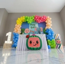birthday Cocomelon Theme Decoration