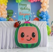 birthday Cocomelon Theme Decoration
