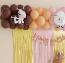 birthday Macdonalds Farm Theme Home Decor