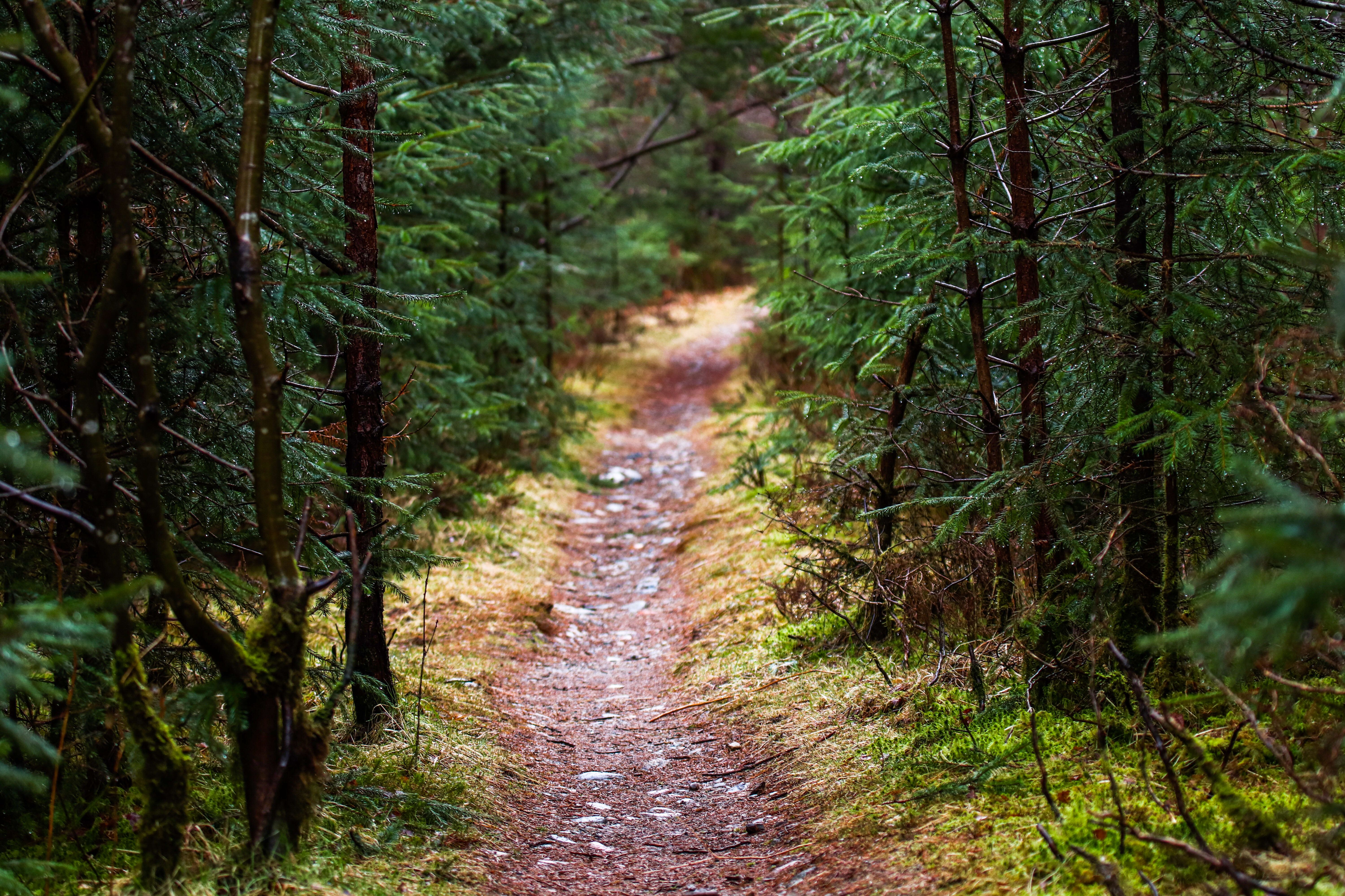 Trail trek- Birthday Celebrations Ideas