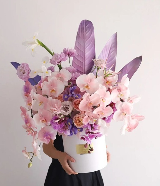 Premium Orchid Arrangements for Corporate Gifts